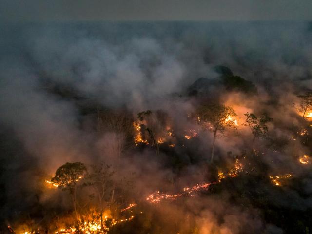 Amazon Rainforest deforestation and fire