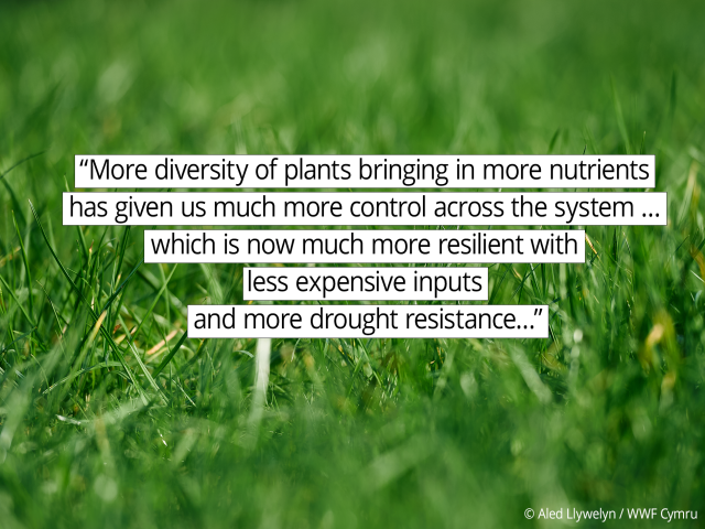 “More diversity of plants bringing in more nutrients has given us much more control across the system … which is now much more resilient with less expensive inputs and more drought resistance."