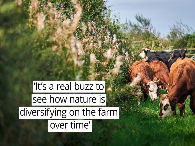 t’s a real buzz to see how nature is diversifying on the farm over time.