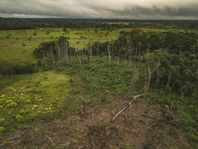Aerial view of Amazon deforestation, municipality of Calamar, Guaviare Department, Colombia.