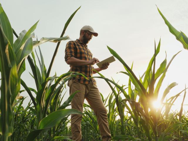 Conservation work on farms
