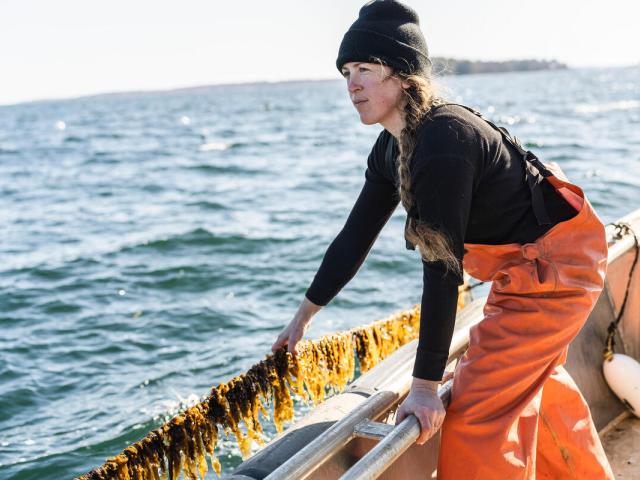 Seaweed farmer