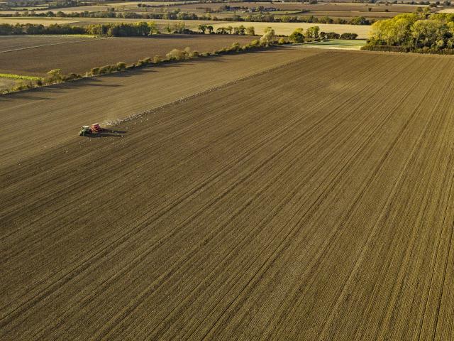 Since the 1970s, UK farming has simplified and intensified, providing less and less habitat for native wildlife