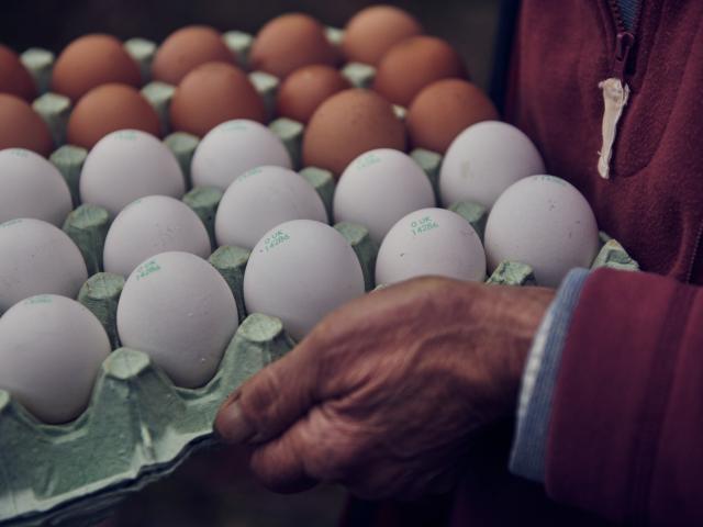 A tray of brown and white eggs from hens at Nantclyd farm.