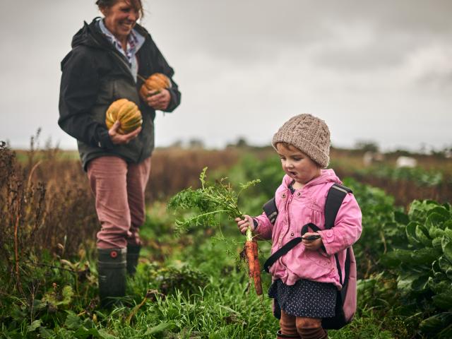 Liz pics produce from the farm, including squashes and carrots, with the help of a very young future farmer.