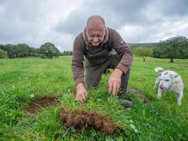 Farmer Inspecting Soil