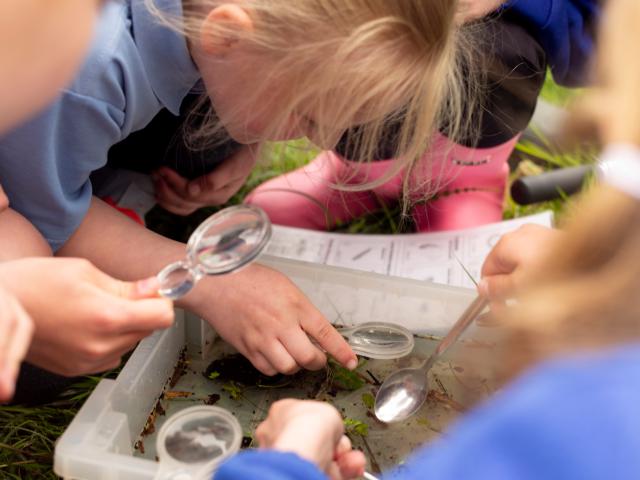 Pupils from Langham Village School visit Langham Wetlands in Norfolk. This brand-new wetland has been constructed by Finish and WWF as part of a mission to replenish 500 million litres of freshwater in the UK to help support precious habitats and species.