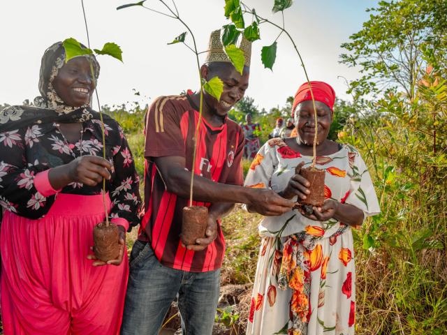 Community members participate in tree planting exercises in Kazimzumbwi Forest Reserve, Tanzania.