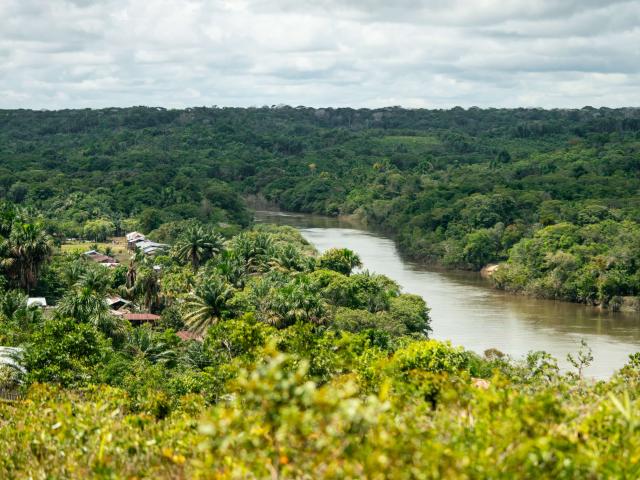 Aerial view of La Chorrera town and surrounding Amazon forest on the banks of the Igara Paraná River.