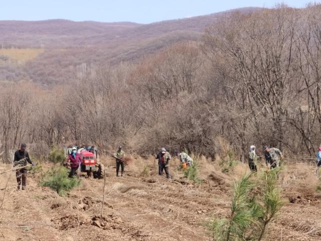 A group of people working on Dongning Forest Restoration