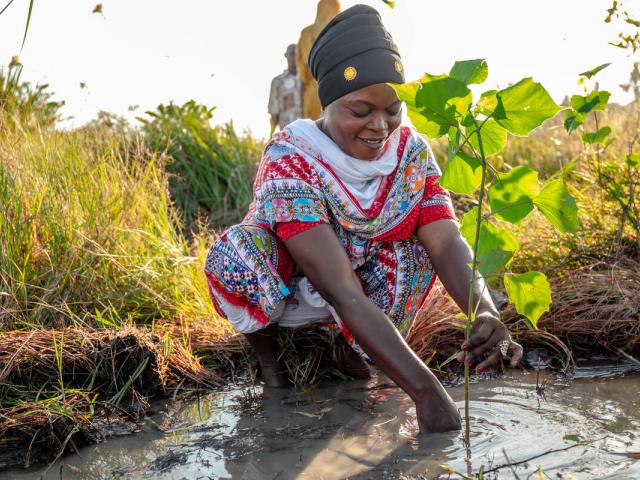 Community members participate in tree planting exercises in Kazimzumbwi Forest Reserve, Tanzania.