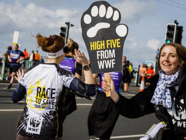 WWF runner high-fiving on course