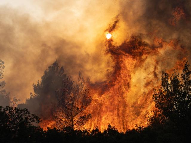 A wildfire burns trees in Agia Sotira, a western suburb of Athens, Greece, on July 20, 2023.