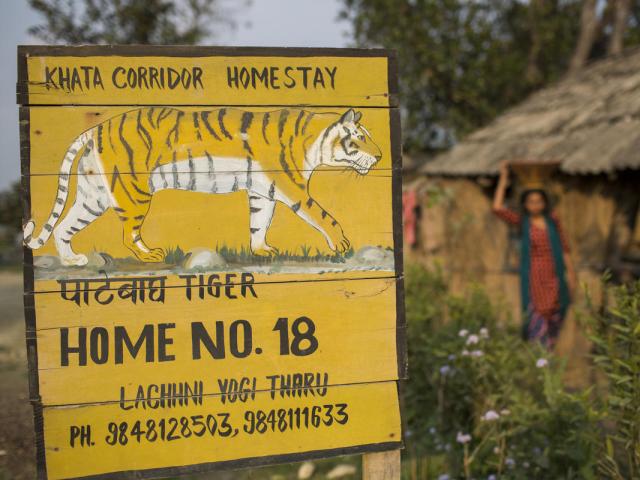 Sign saying 'Khata corridor homestay' with an illustration of a tiger. In the background, Birsana Yogi is carrying a jar on her head.