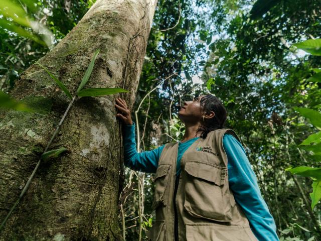 Marisela Silva Parra, local community leader and 'environmental promoter' conducting environmental survey of the forest found on a local farm.