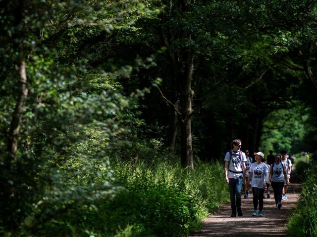 WWF Great Wild Walks Group Walking