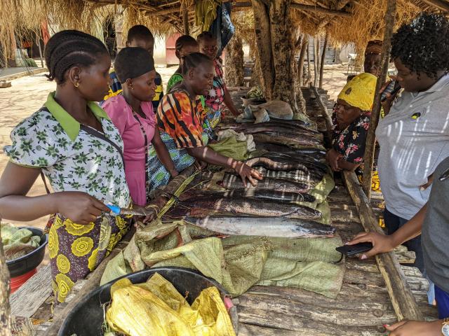 Women fishmongers selling unprocessed fresh fish.