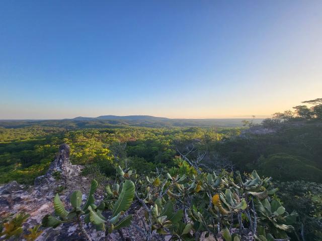 Ruvuma transboundary landscape
