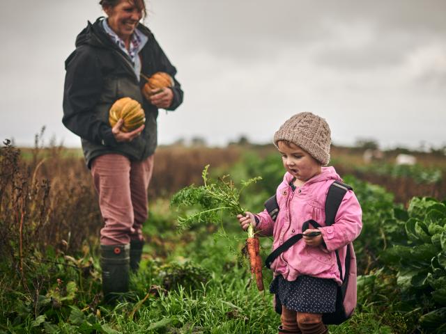 Vegetable picking mother and daughter