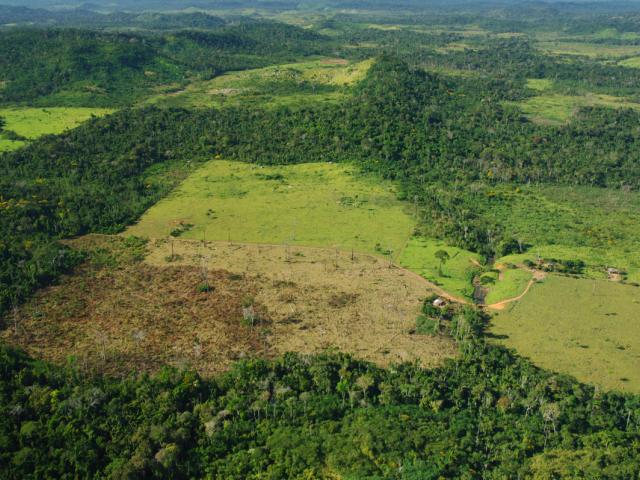 Aerial view of forest cover being replaced with grazing land and cattle farms