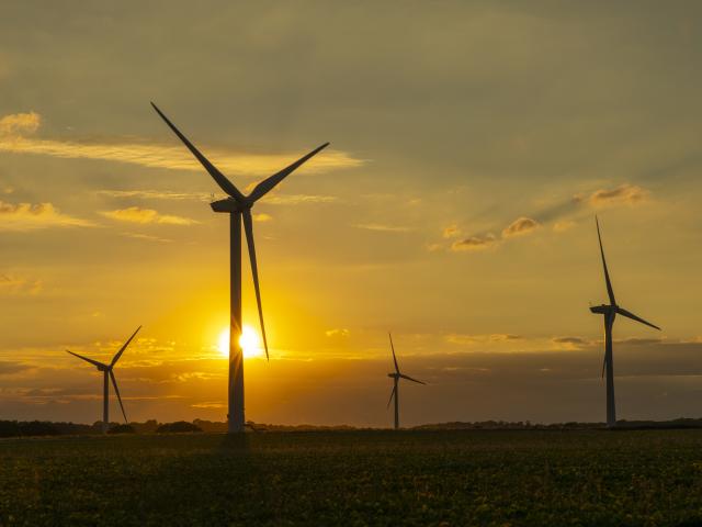 Wind turbines in Norfolk with sun setting behind