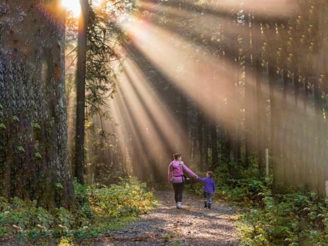 Mother and daughter walking through forest