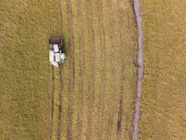 Tractor harvesting rice in Vietnam 
