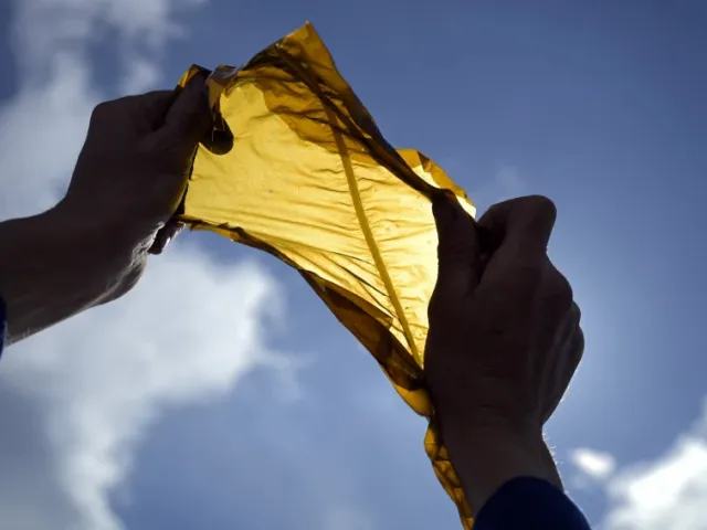 Person holding seaweed to the sky