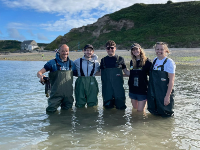 The WWF Cymru team and ambassador Iwan Rheon, knee high in the sea and wearing waders, during a seagrass seed collection trip in Porthdinllaen, Wales