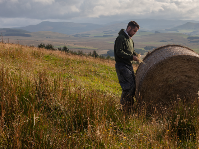 Stuart inspecting hay bales on Whitriggs Farm, The Scottish Borders