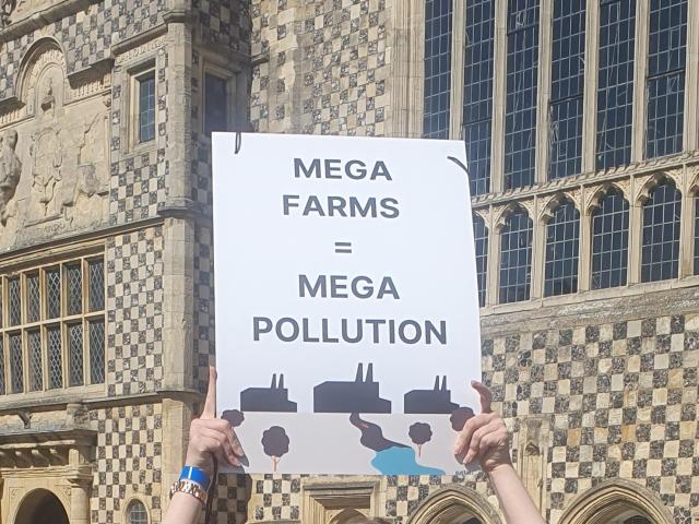 Woman holding up sign saying 'megafarms = mega pollution'