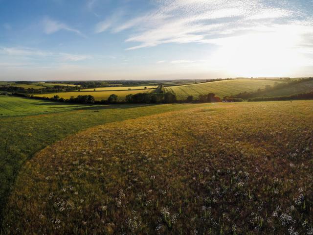 drone panoramic of a wildflower meadow set amongst the patchwork of agricultural fields with barley monocrop in ythe background in Norfolk, UK.