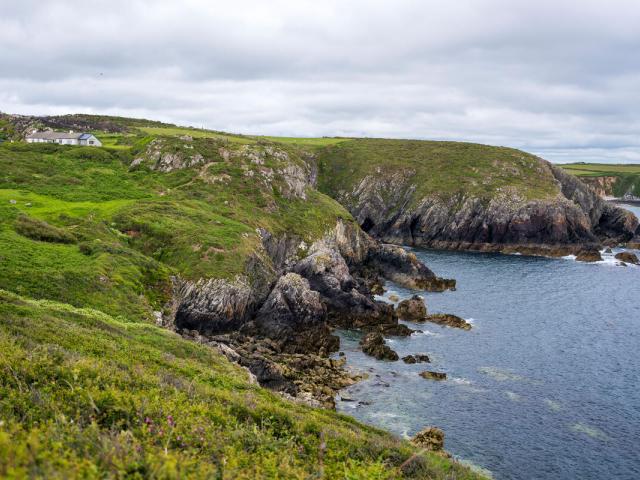 Waves crash against the Pembrokeshire coastline near Câr-Y-Môr seaweed farm in Wales.