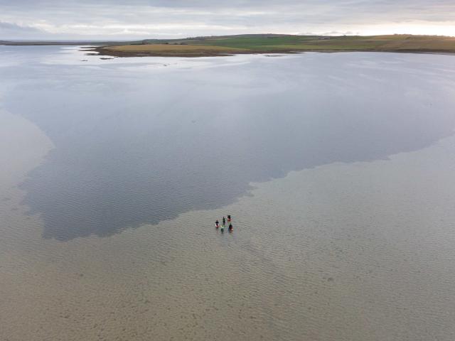 People in the Firth of Forth