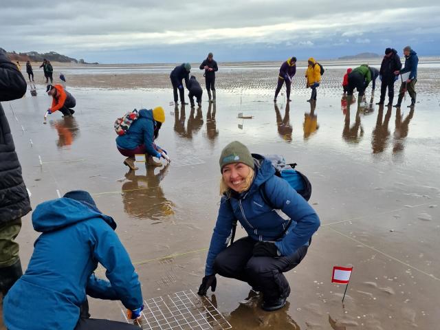People planting seagrass into sand