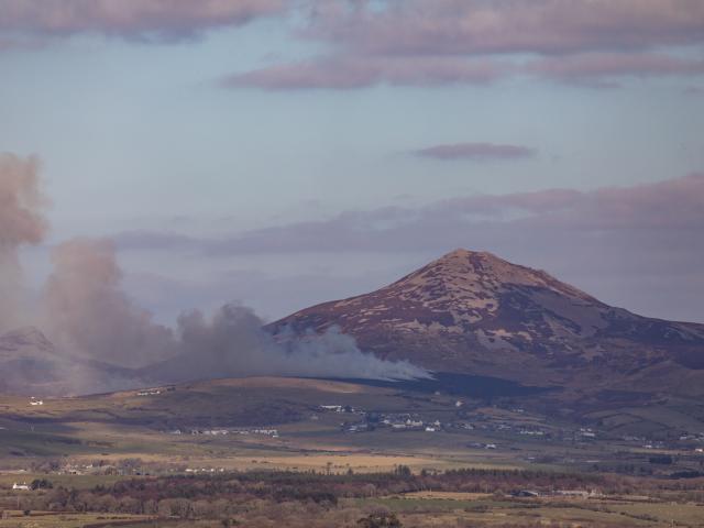 Gorse burning, Wales