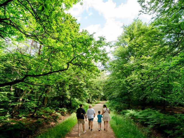 Feel good forest trails family shot through forest