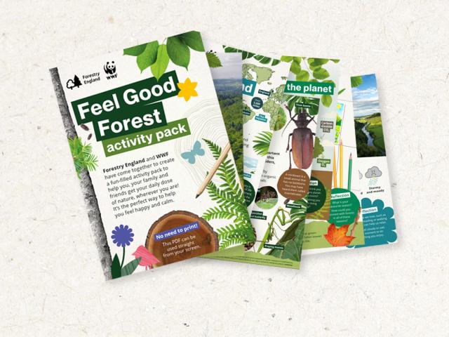 forestry activity banne