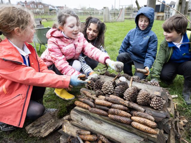 School children collecting and using wood and pinecones to build bug hotels. Bitterne Park Primary School / Southampton / Hampshire / UK.