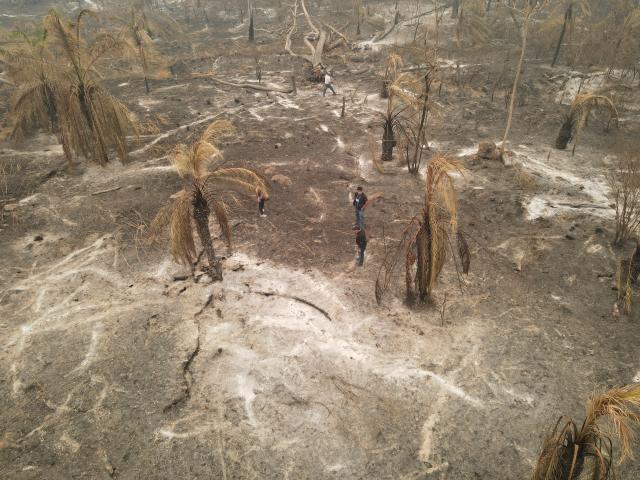 Bolivia Forest fire aftermarth