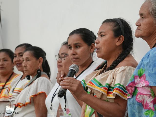Local women of Bolivia