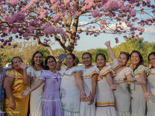 Women of Bolivia under a blossom tree