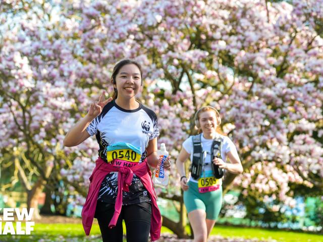 Runner in Kew Gardens with tree blossoms