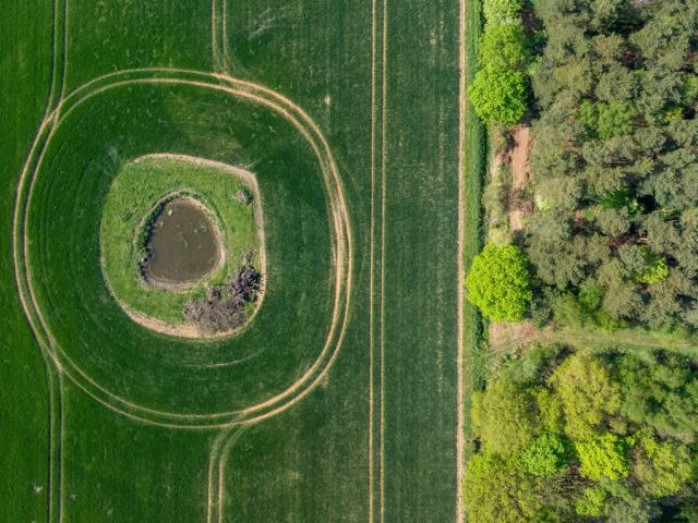 Drone shot of newly restored ponds.  Astley Estate, near Hindolveston, North Norfolk, UK.