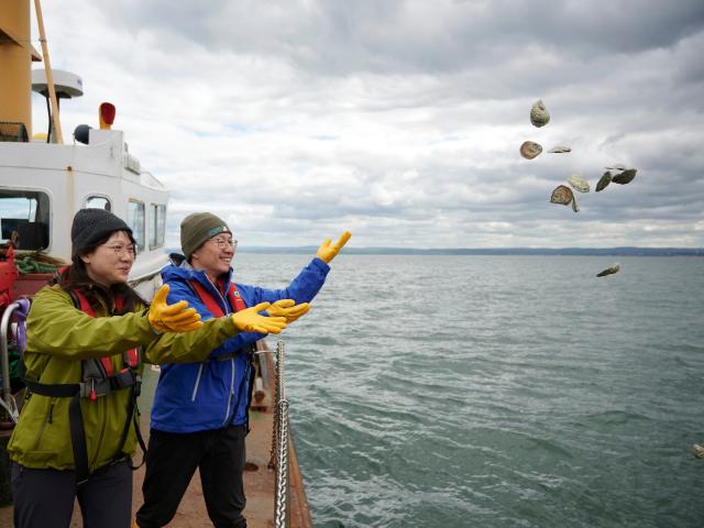 Restoration Forth volunteers from ELREC introduce oysters into the Firth of Forth