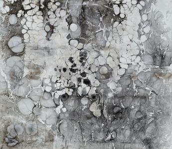Anya Gallaccio No.4