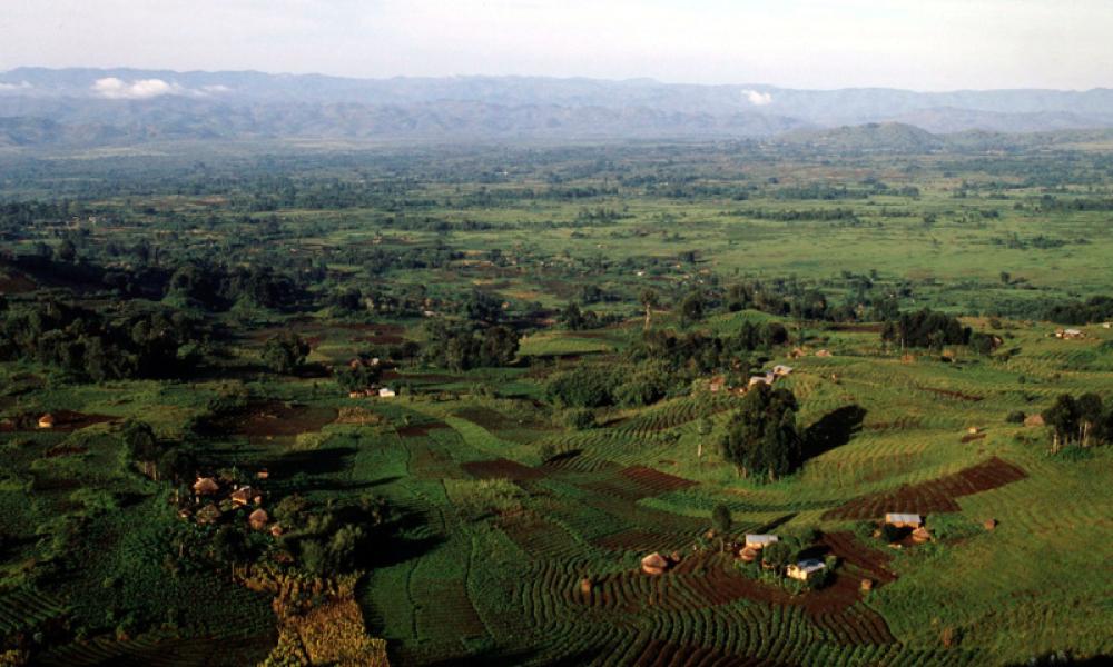 UNESCO warns against Virunga oil exploration