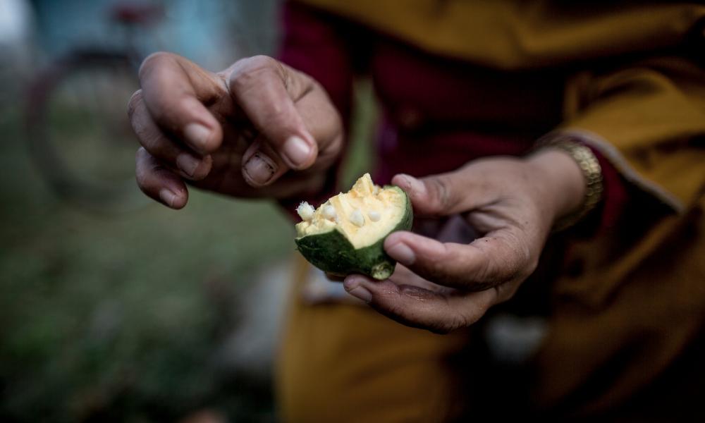 Maya with a fig outside the marmalous juice factory, Bardia, Nepal.