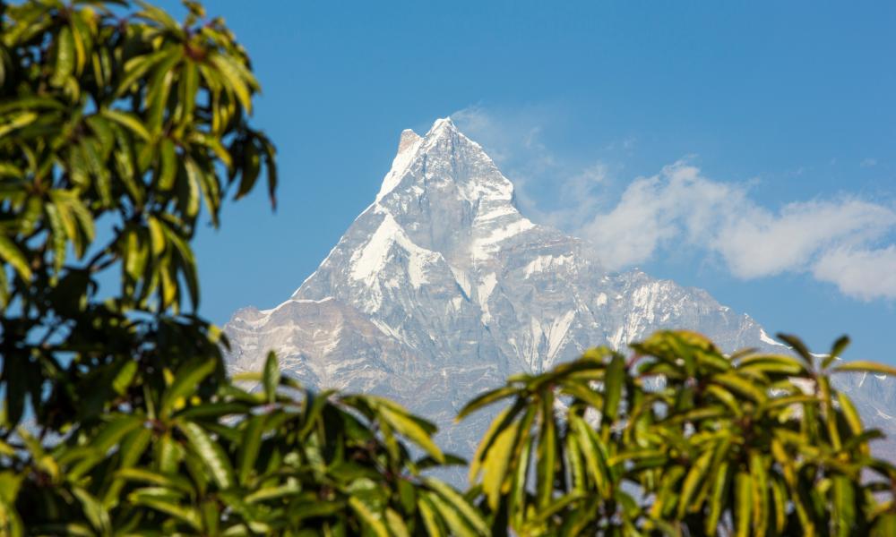 Eastern Himalayas Wwf