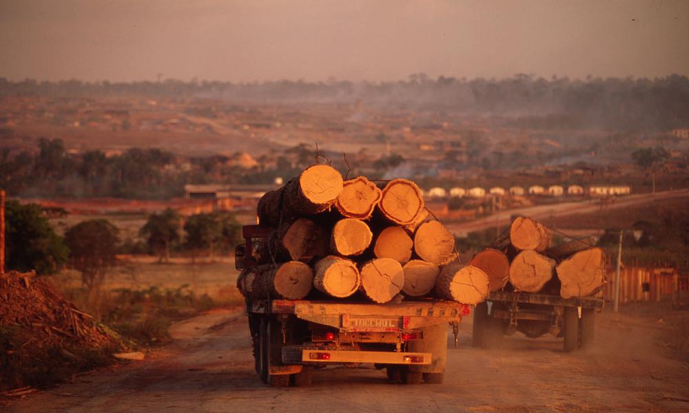 Trucks carrying logs to sawmills